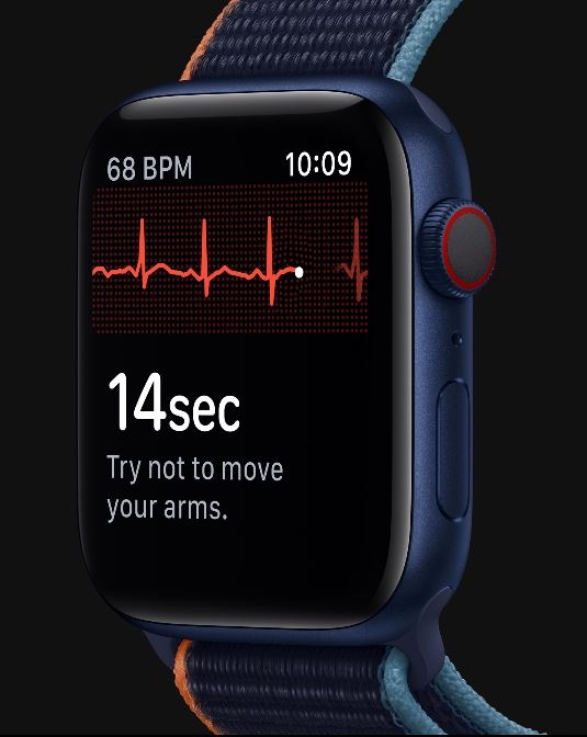 iwatch 6 cellular 44